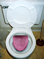 mes toilettes