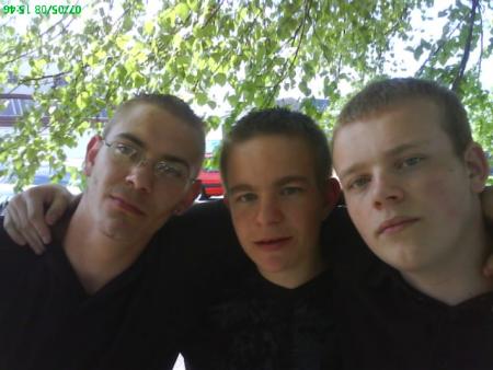 nous les betes