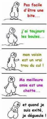 LA VERITER
